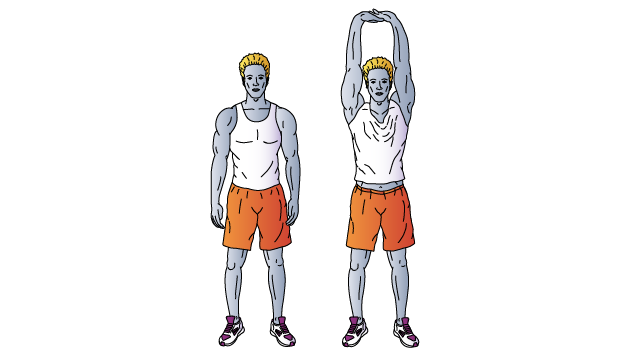 https://www.anterides.com/UserFiles/images/exercises/small-exercises/1-Upward-Stretch-LANDING-M.png