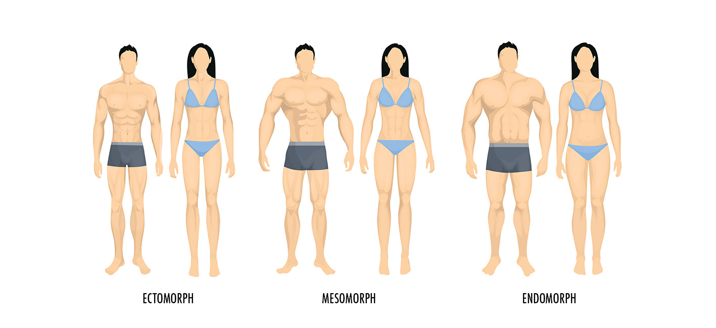 Different body types